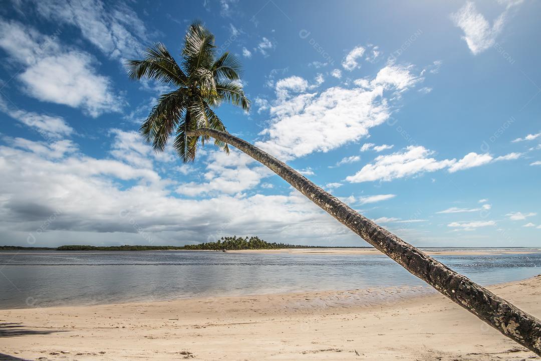 Ilha Tropical de Boipeba no Nordeste do Brasil na Bahia Imagem JPG