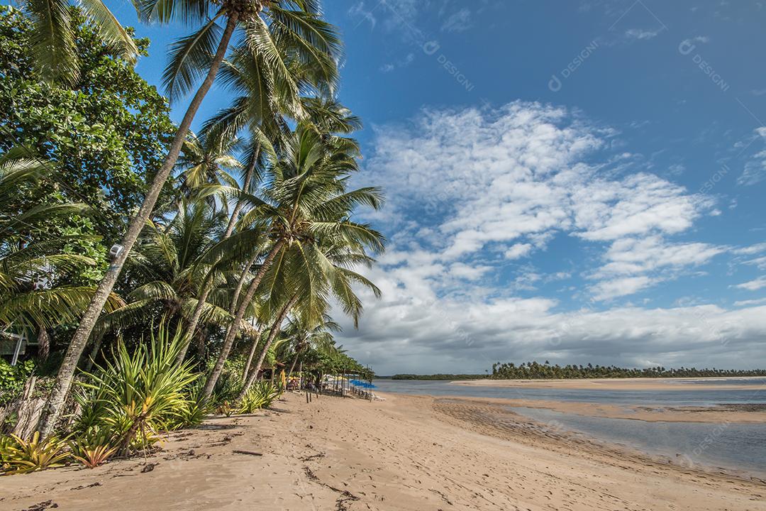 Foto Ilha Tropical de Boipeba no Nordeste do Brasil na Bahia