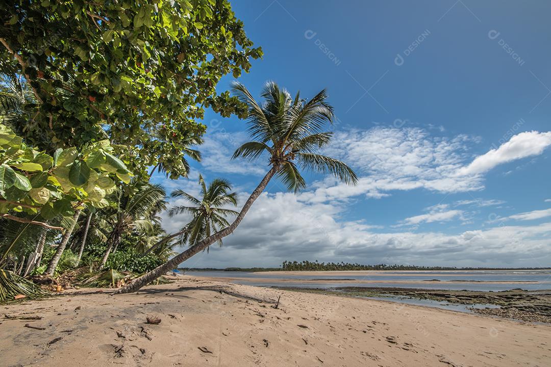 Foto Ilha Tropical de Boipeba no Nordeste do Brasil na Bahia