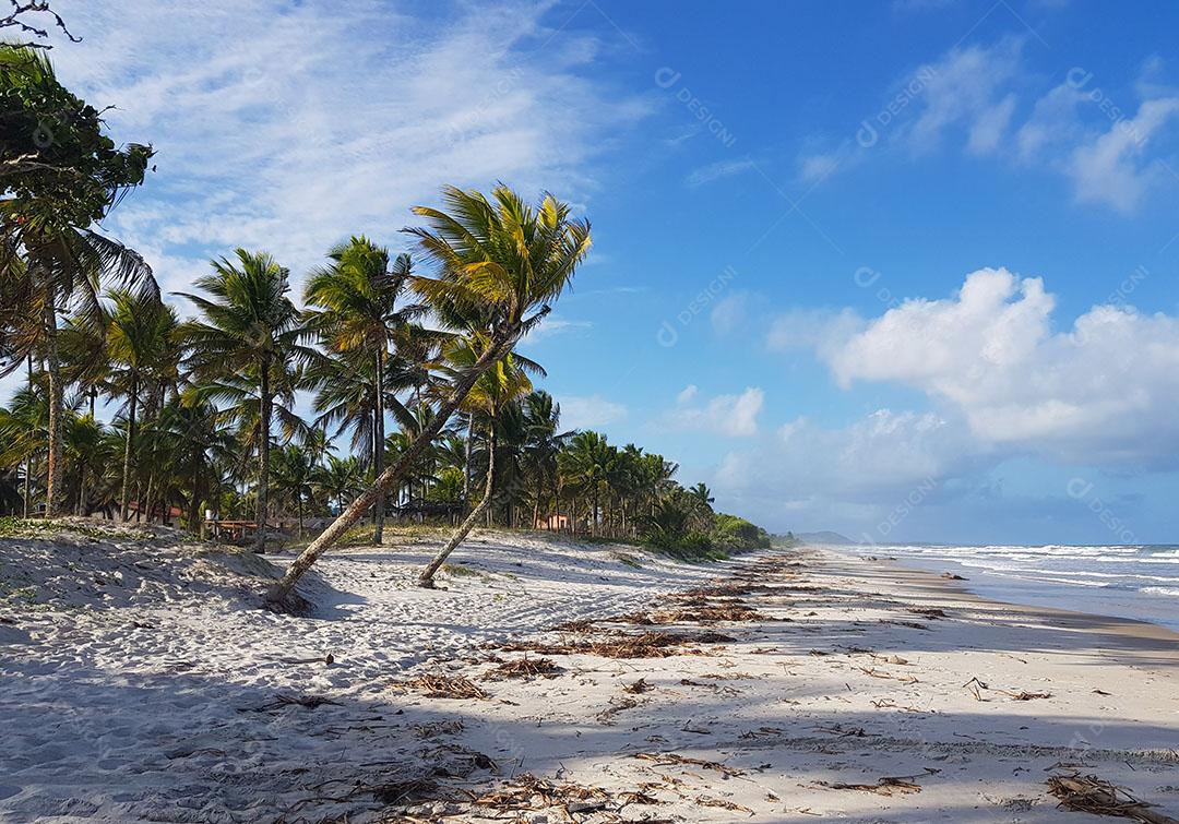 Praia Deserta Tropical Com Coqueiros no Verão Imagem JPG