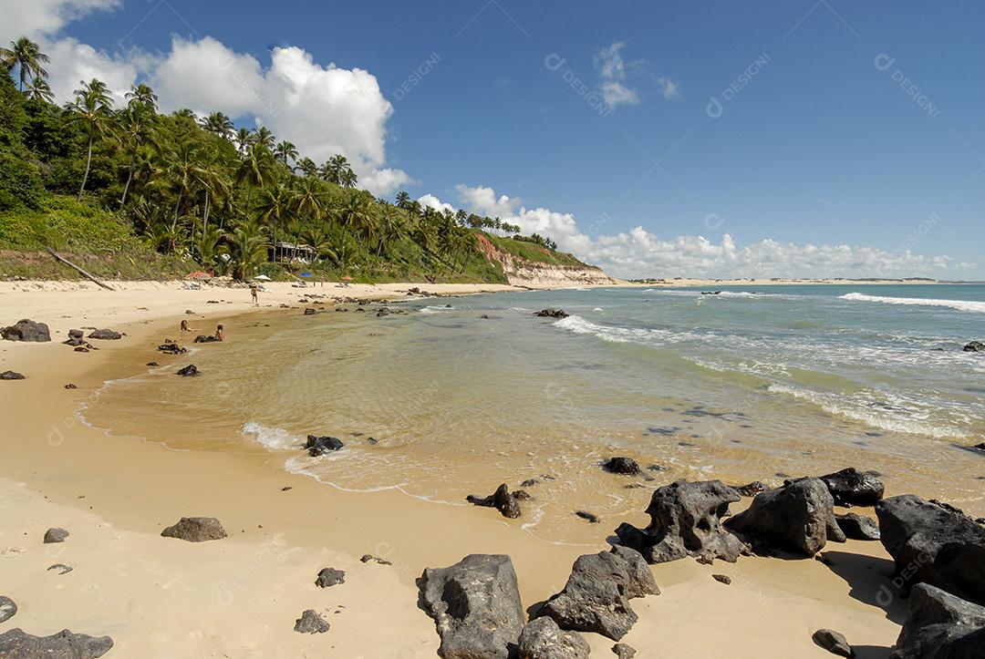 Praia Do Tibau Imagem JPG