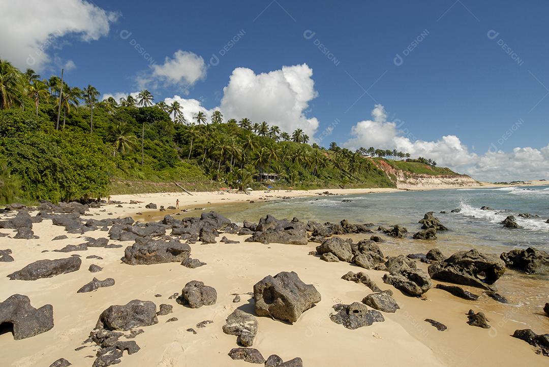 Praia Do Tibau Imagem JPG