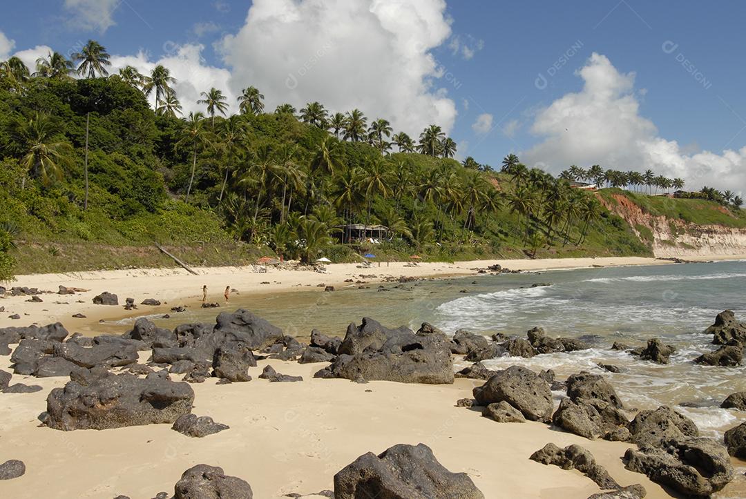 Praia Do Tibau Imagem JPG
