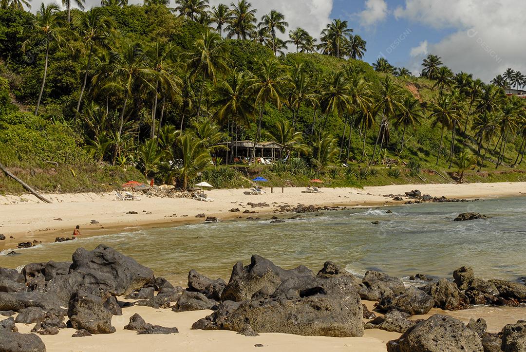 Praia Do Tibau Imagem JPG