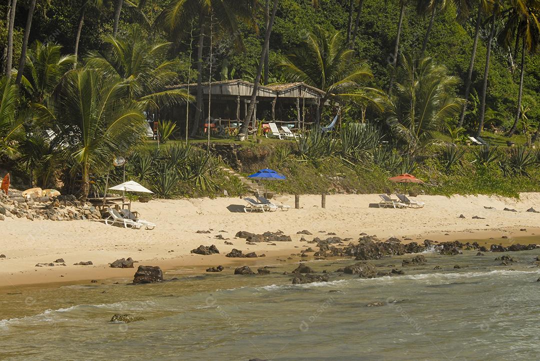 Praia Do Tibau Imagem JPG