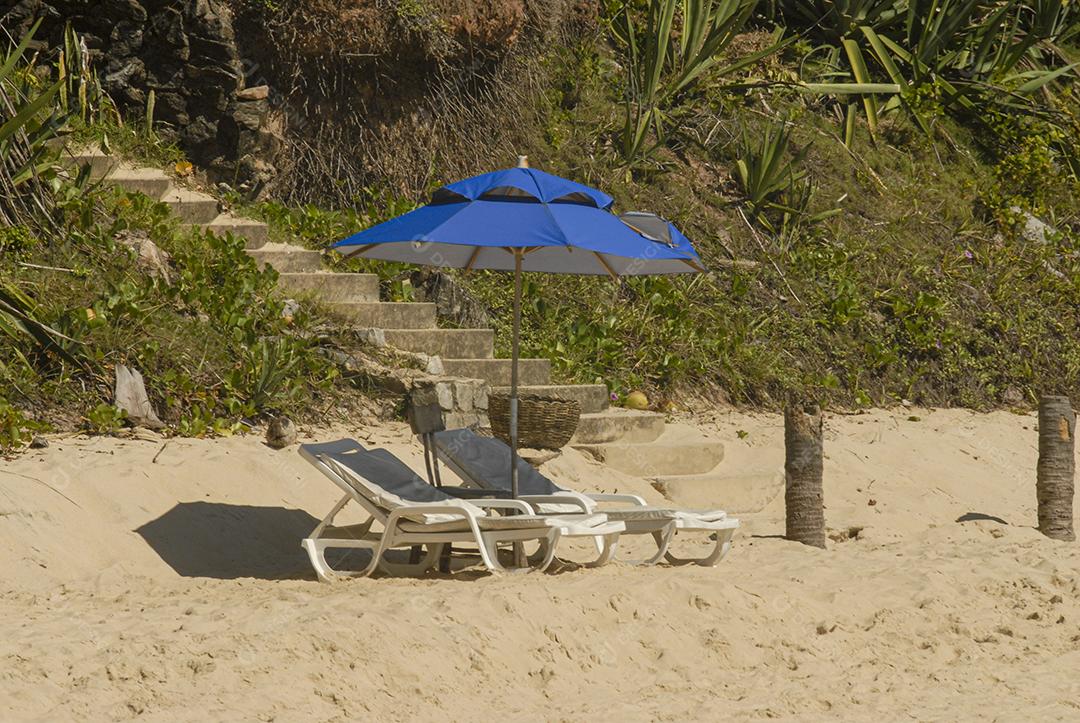 Praia Do Tibau Imagem JPG