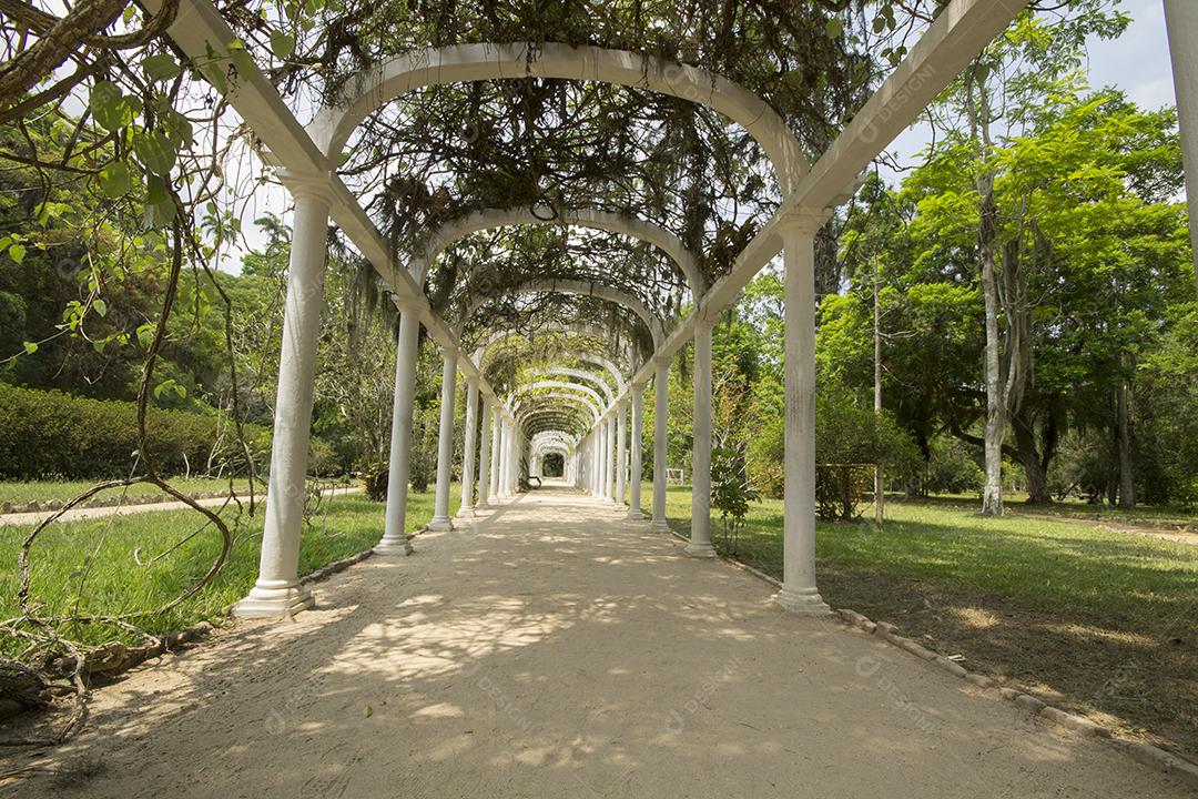 Caminho Entre Arcos no Jardim Botânico no Rio de Janeiro Brasil Imagem JPG