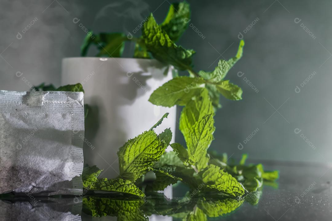 Plantas hortelã potes Imagem JPG