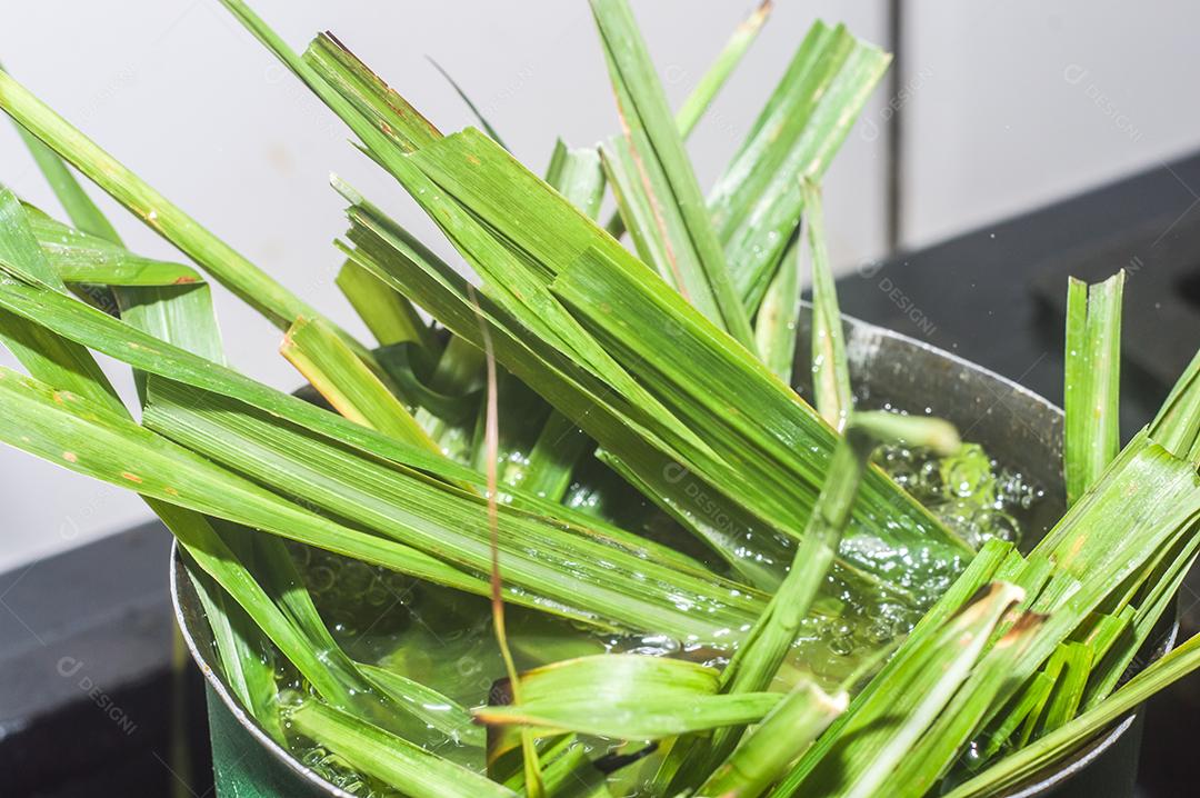 Erva-cidreira em uma panela com água quente, chá de erva-cidreira