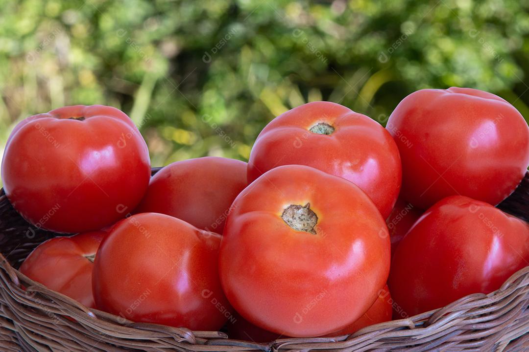 Cesta Com Tomates Vermelhos Com Fundo Desfocado do Jardim Imagem JPG