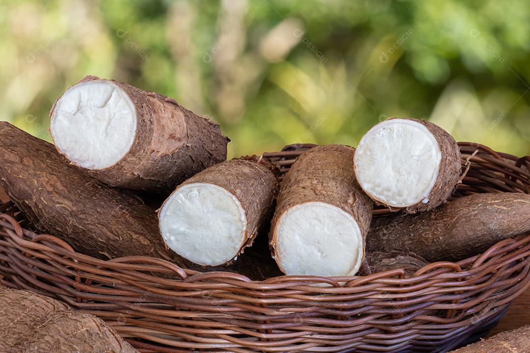 Foto Raiz de Mandioca Fresca na Mesa de Madeira Com Fundo Desfocado do Jardim