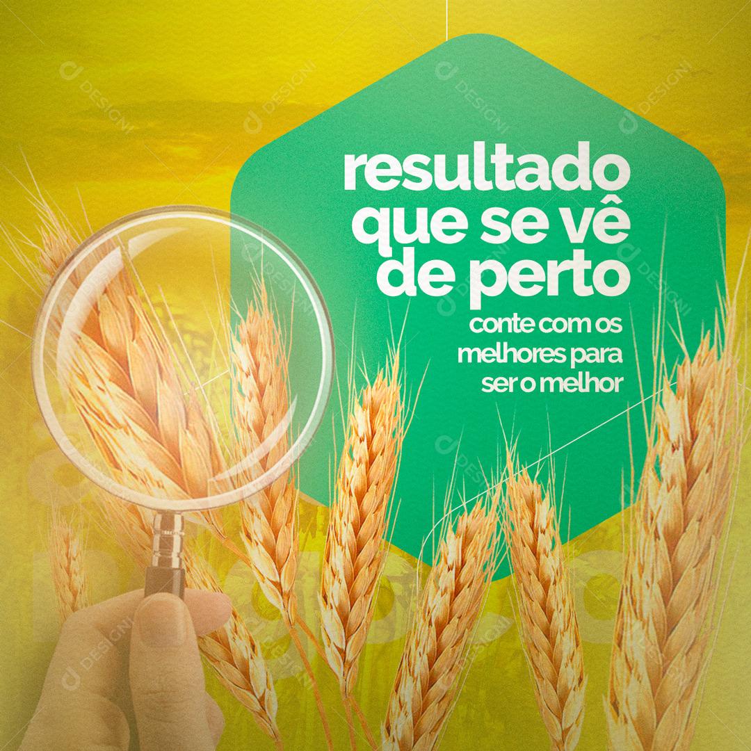 Resultado Que Se Vê De Perto Conte Com As Melhores Para Ser O Melhor Social Media PSD Editável