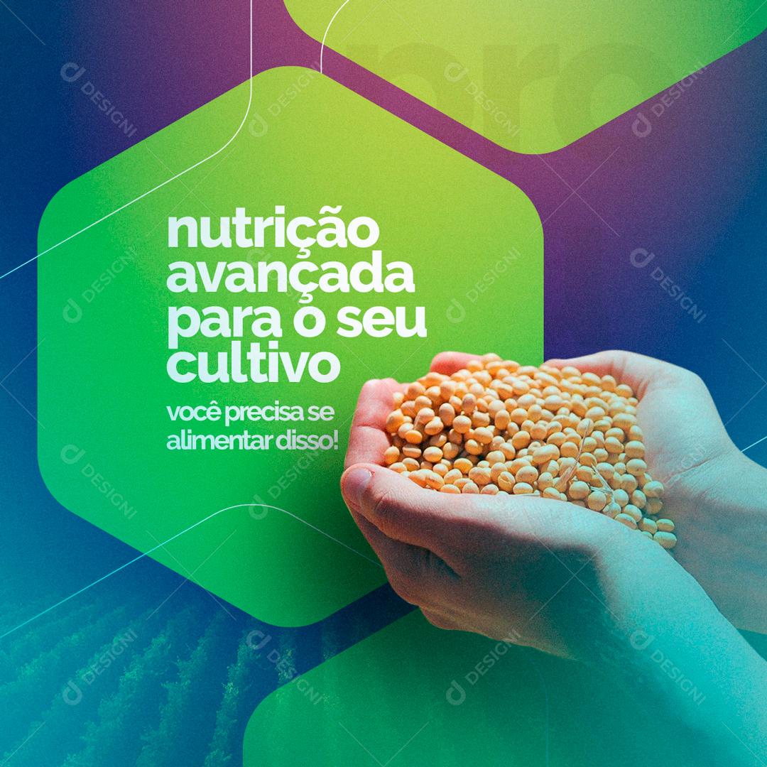 Nutrição Avançada Para Seu Cultivo Plantação Social Media PSD Editável