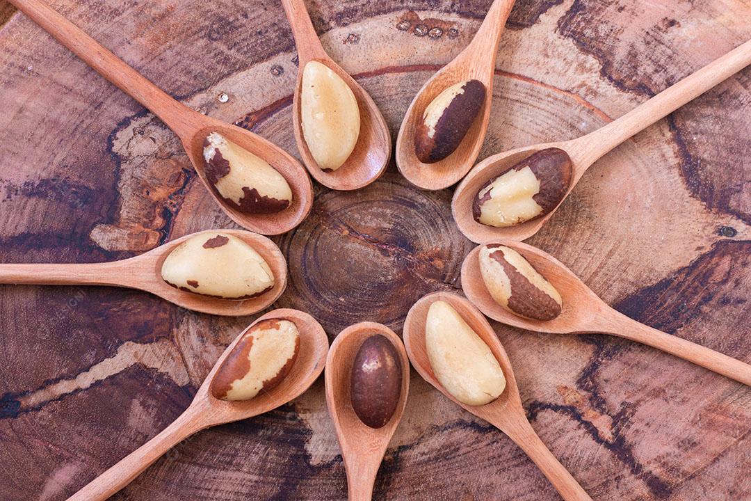 Castanha Brasileira Conhecida Castanha Pará Imagem JPG