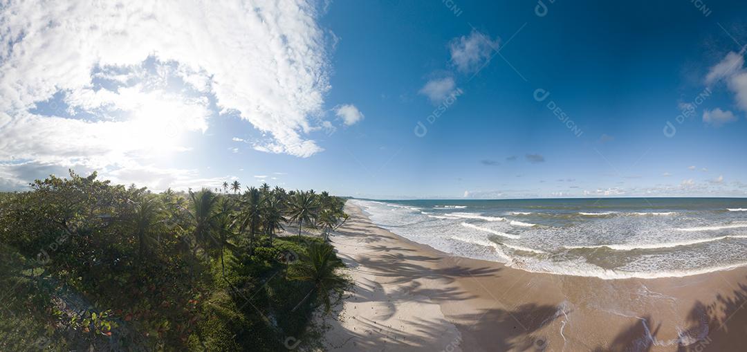 Vista Aérea Panorâmica da Praia Tropical Com Coqueiros Imagem JPG