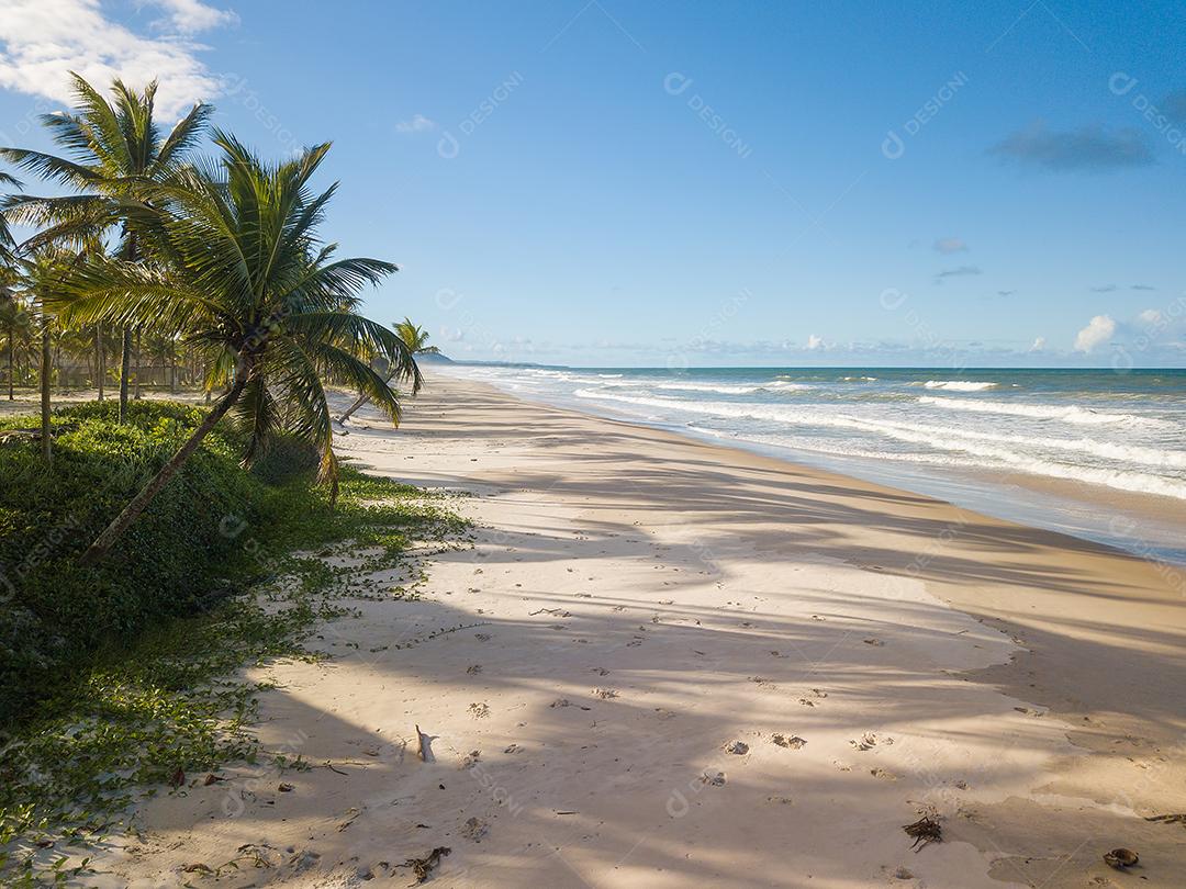 Praia Deserta Vista Aérea Com Coqueiros na Costa da Bahia Brasil Imagem JPG