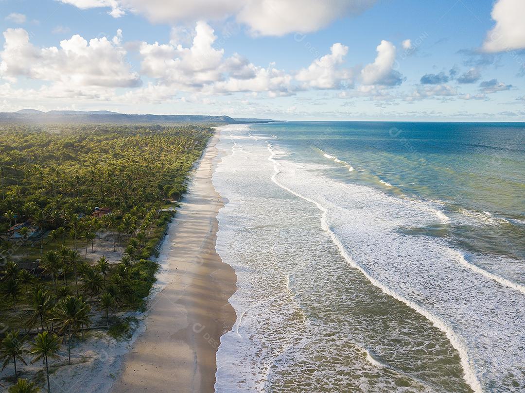 Vista Aérea de Cima da Praia Com Ondas Deslumbrantes Imagem JPG