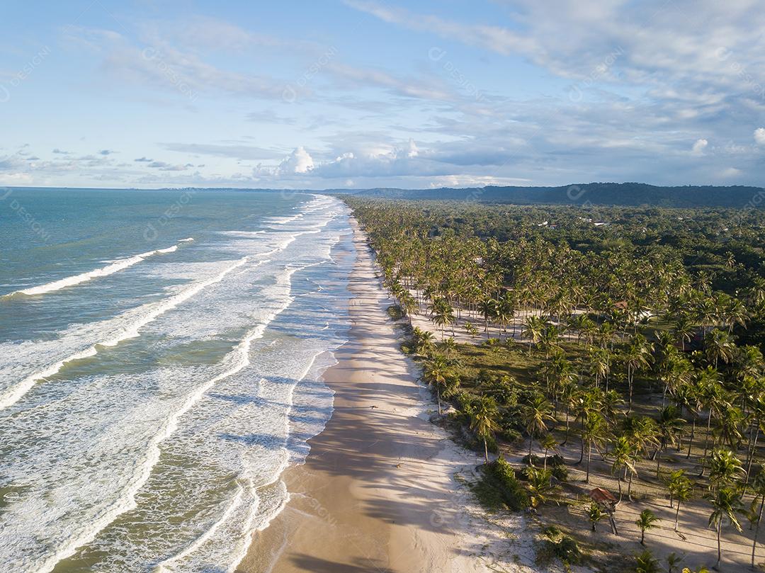 Vista Aérea de Cima da Praia Com Ondas Deslumbrantes Imagem JPG