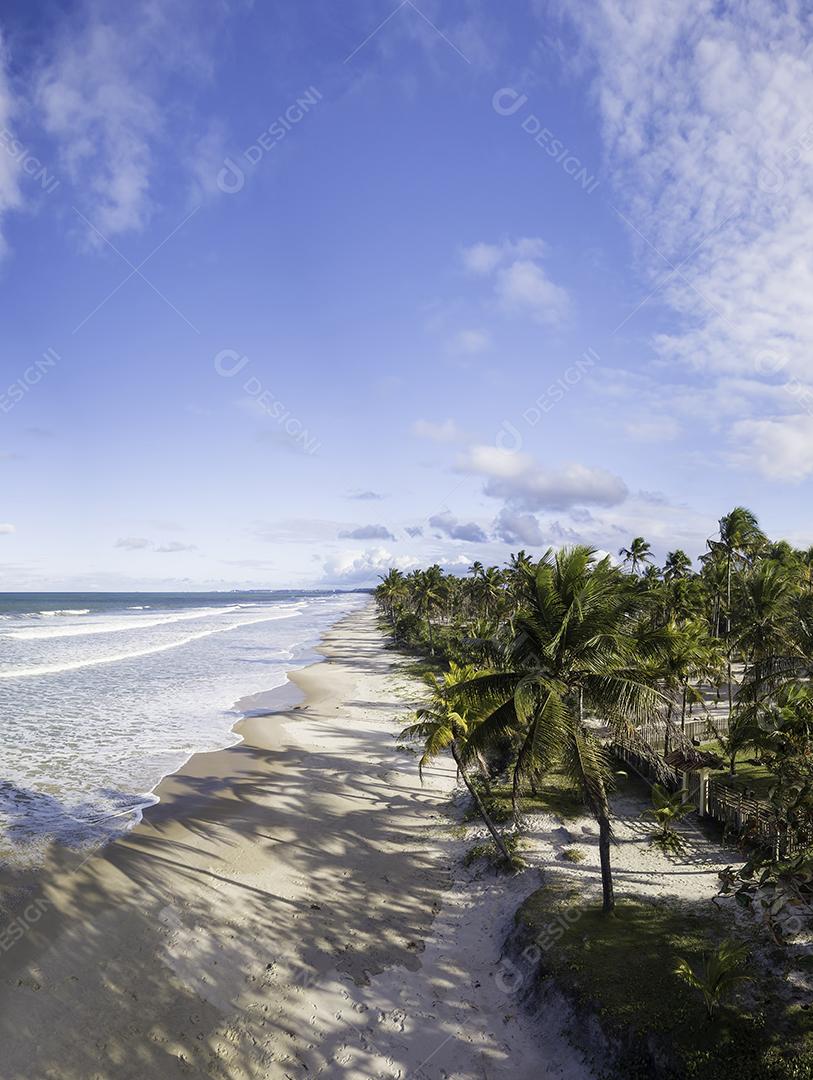 Vista Aérea de Cima da Praia Com Ondas Deslumbrantes Imagem JPG