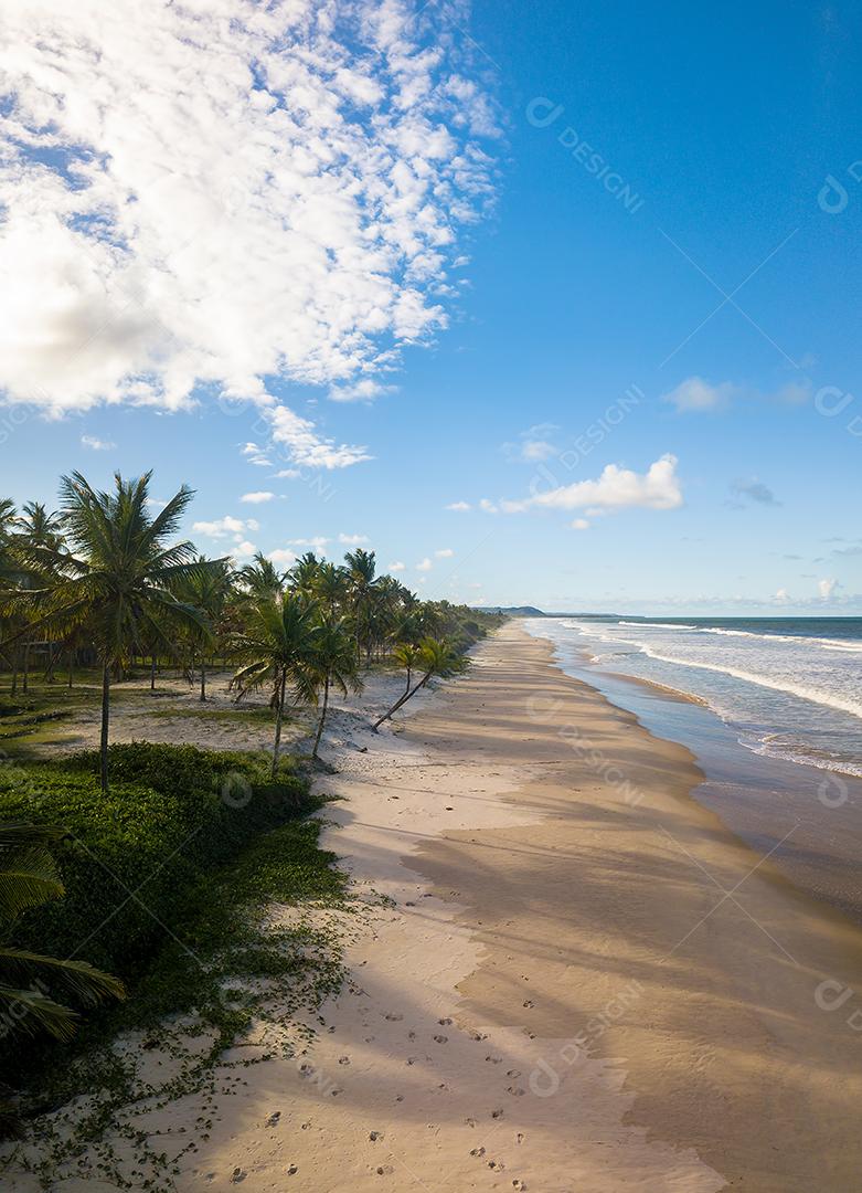 Vista Aérea de Cima da Praia Com Ondas Deslumbrantes Imagem JPG