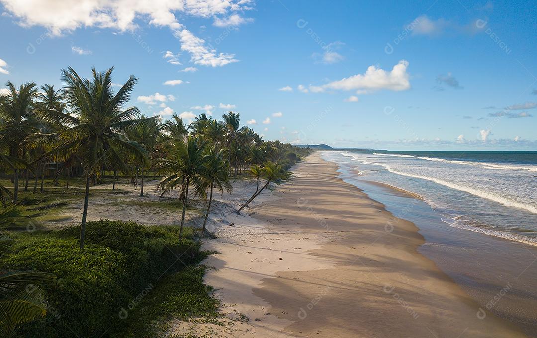 Vista Aérea de Cima da Praia Com Ondas Deslumbrantes Imagem JPG