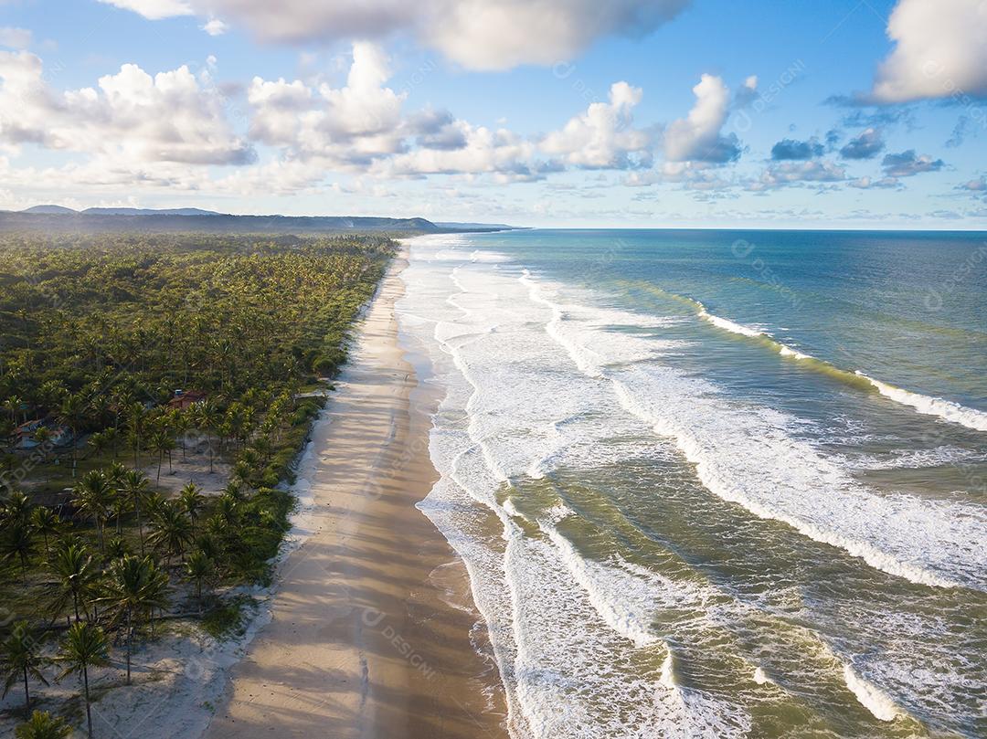 Foto Vista Aérea de Cima da Praia Com Ondas Deslumbrantes