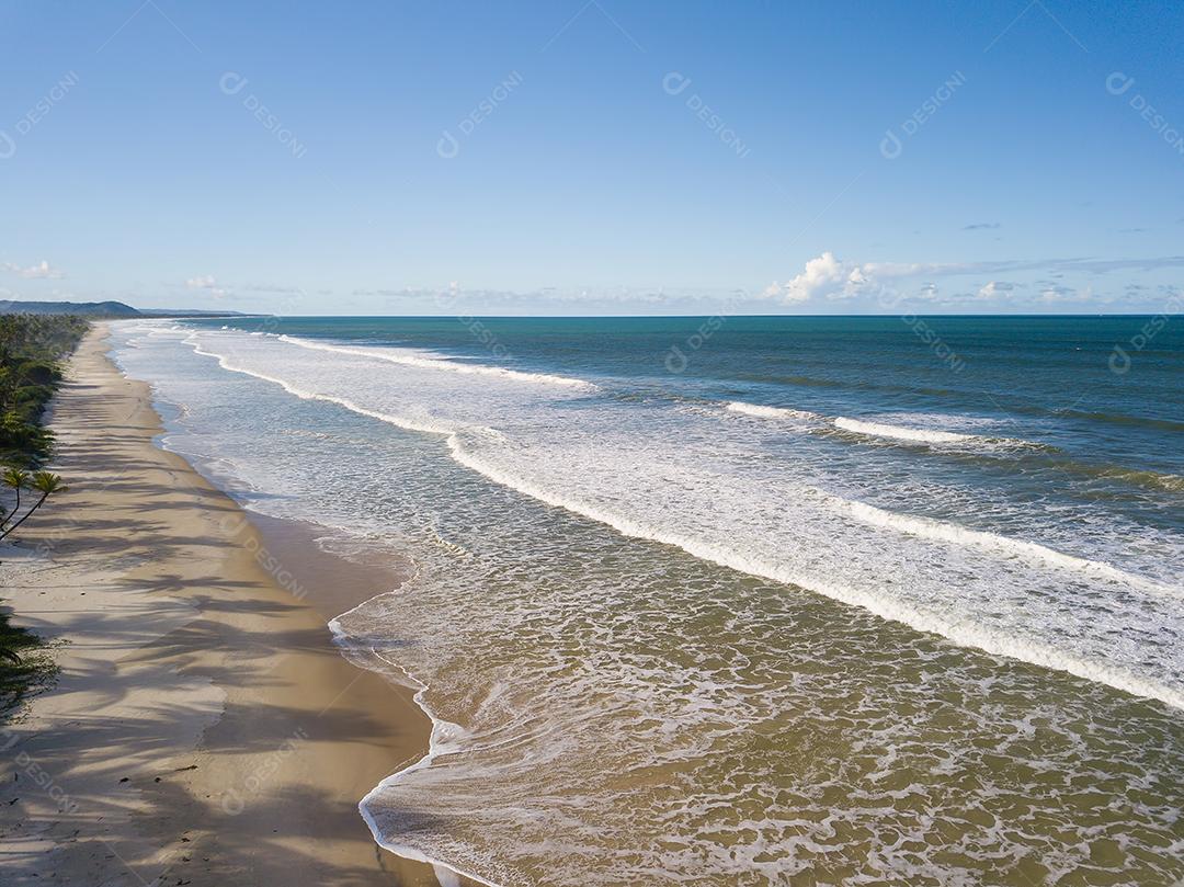 Foto Praia Deserta Vista Aérea Com Coqueiros na Costa da Bahia Brasil