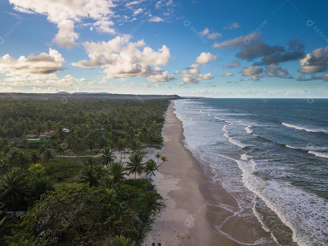 Foto Praia Deserta Vista Aérea Com Coqueiros na Costa da Bahia Brasil