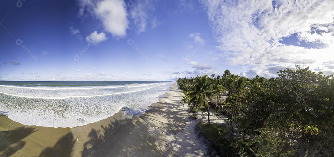 Panoramic Aerial View of Tropical Beach With Coconut Trees Image JPG