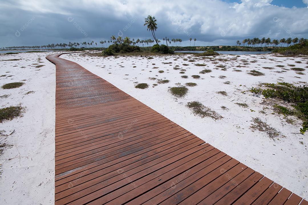 Foto Caminho de Madeira na Ilha da Costa do Sauípe na Costa da Bahia Nordeste do Brasil