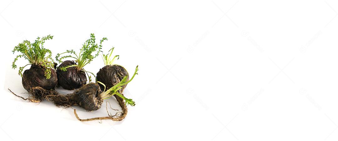 Foto Maca Raiz Peruana Vitalidade Energia Saúde Maca Peruana Preta Afrodisíaco