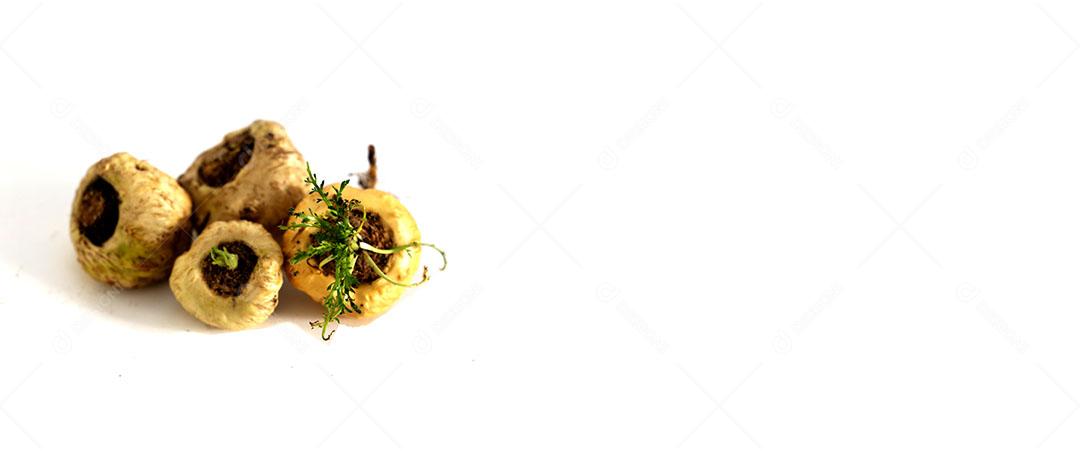 Foto Maca Raiz Peruana Vitalidade Energia Saúde Maca Peruana Preta Afrodisíaco