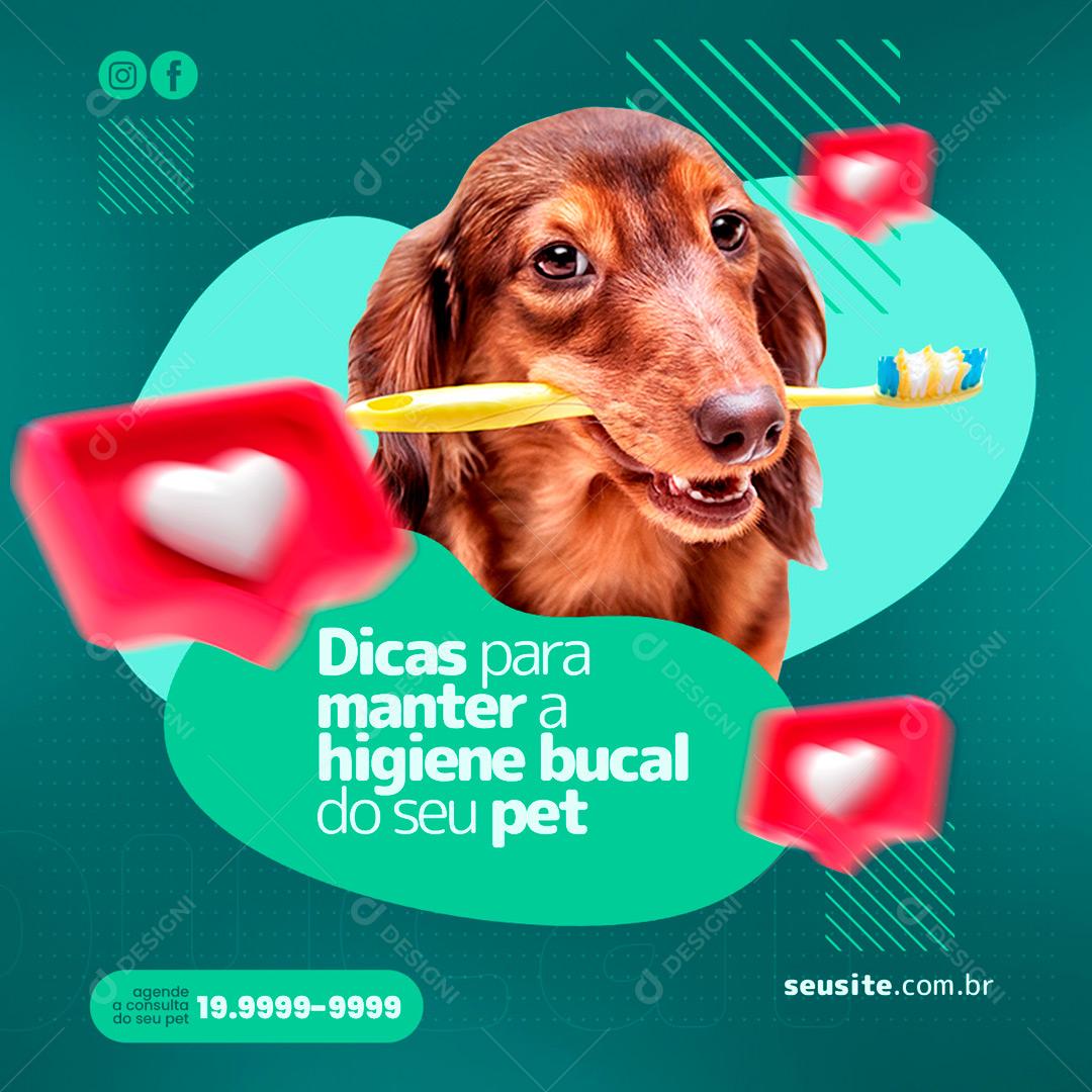 Clínica Veterinária Dicas Para Manter A Higiene Bucal Do Seu Pet Social Media PSD Editável