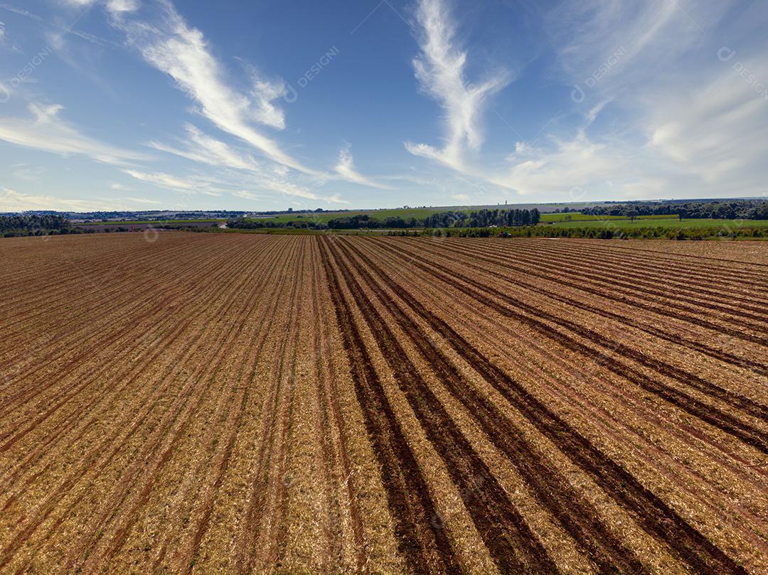 Fertilizando a terra onde a cana-de-açúcar foi plantada vista aérea Imagem JPG