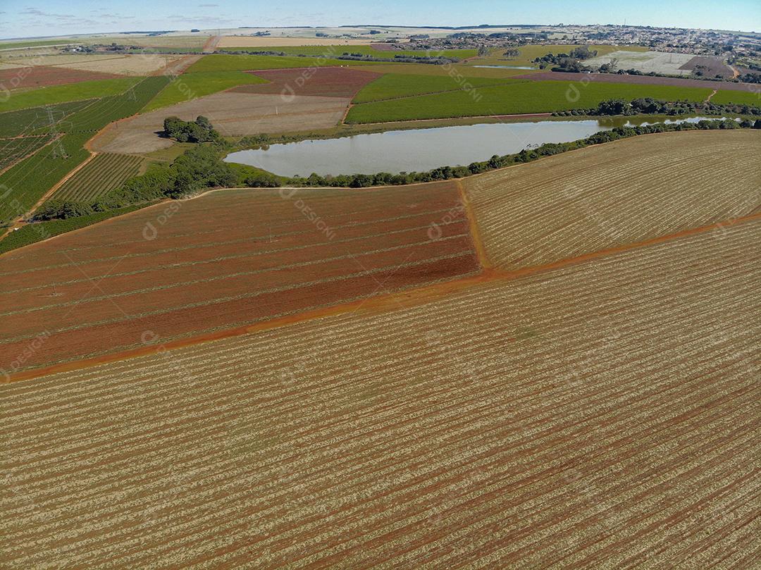 Fotos Fertilizando a terra onde a cana-de-açúcar foi plantada vista aérea