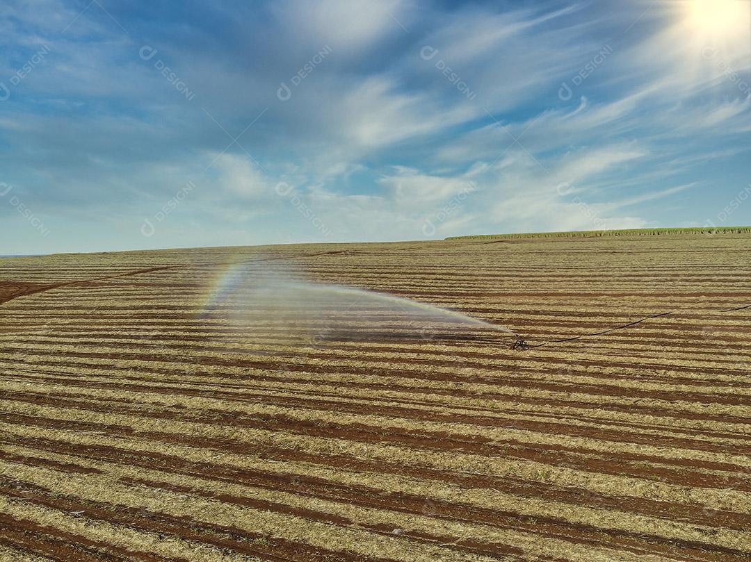 Fotos Tratamento solo plantação de cana de açúcar substância nutritiva vinhoto vista aérea