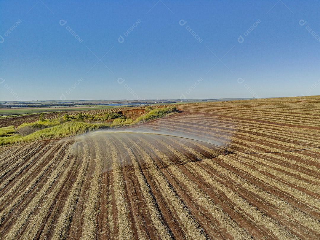 Fotos Tratamento solo plantação de cana de açúcar substância nutritiva vinhoto vista aérea