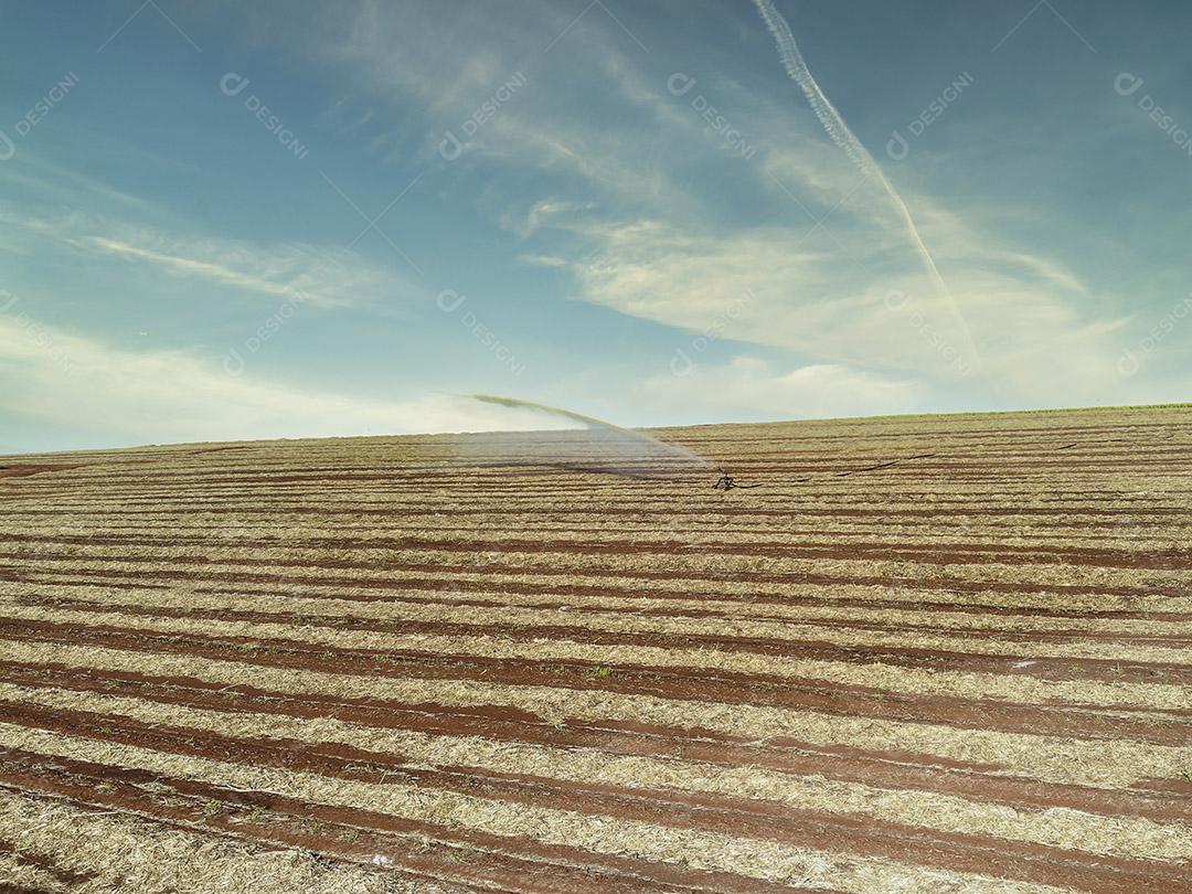 Fotos Tratores agrícolas trabalhando vista aérea da plantação colheita de cana-de-açúcar
