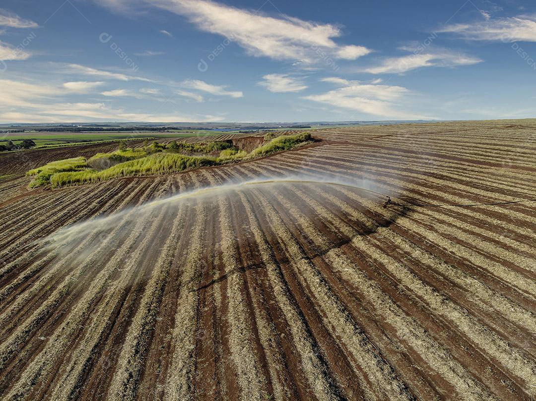 Fotos Tratores agrícolas trabalhando vista aérea da plantação colheita de cana-de-açúcar