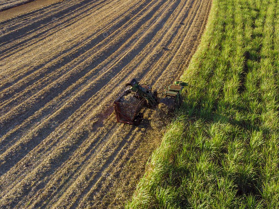 Fotos Tratores agrícolas trabalhando vista aérea da plantação colheita de cana-de-açúcar