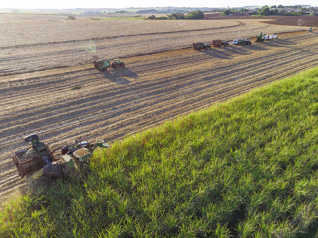 Fotos Tratores agrícolas trabalhando vista aérea da plantação colheita de cana-de-açúcar