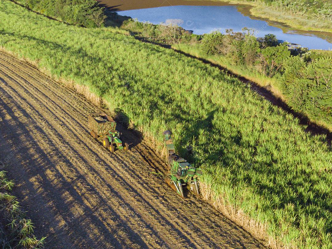 Fotos Tratores agrícolas trabalhando vista aérea da plantação colheita de cana-de-açúcar