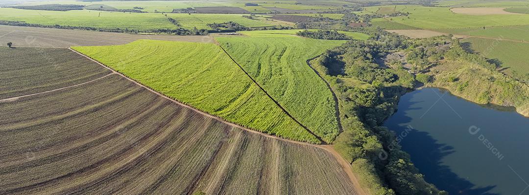 Campo aéreo de cana de açúcar no brasil e belo lago Imagem JPG