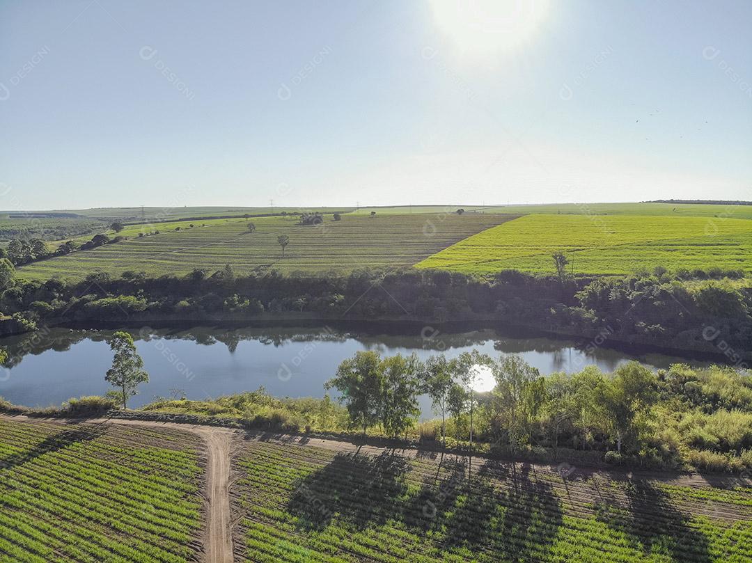 Campo aéreo de cana-de-açúcar no Brasil Imagem JPG