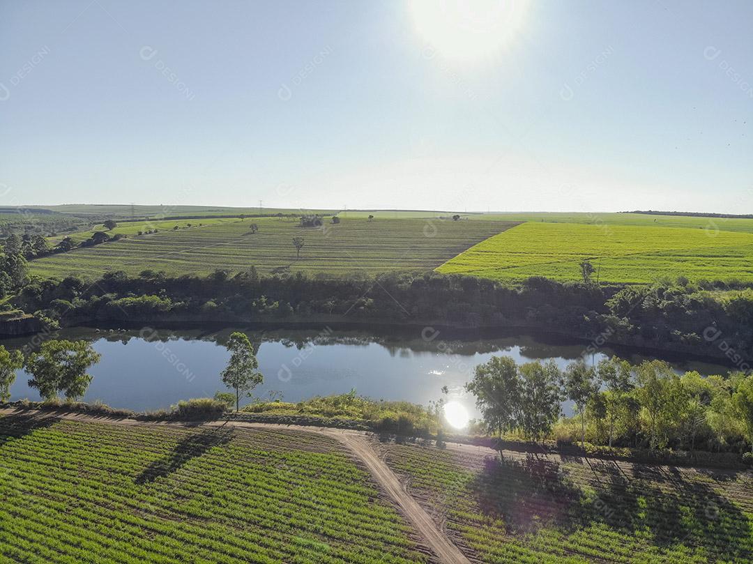 Campo aéreo de cana-de-açúcar no Brasil Imagem JPG