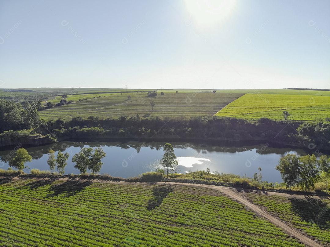 Campo aéreo de cana-de-açúcar no Brasil Imagem JPG