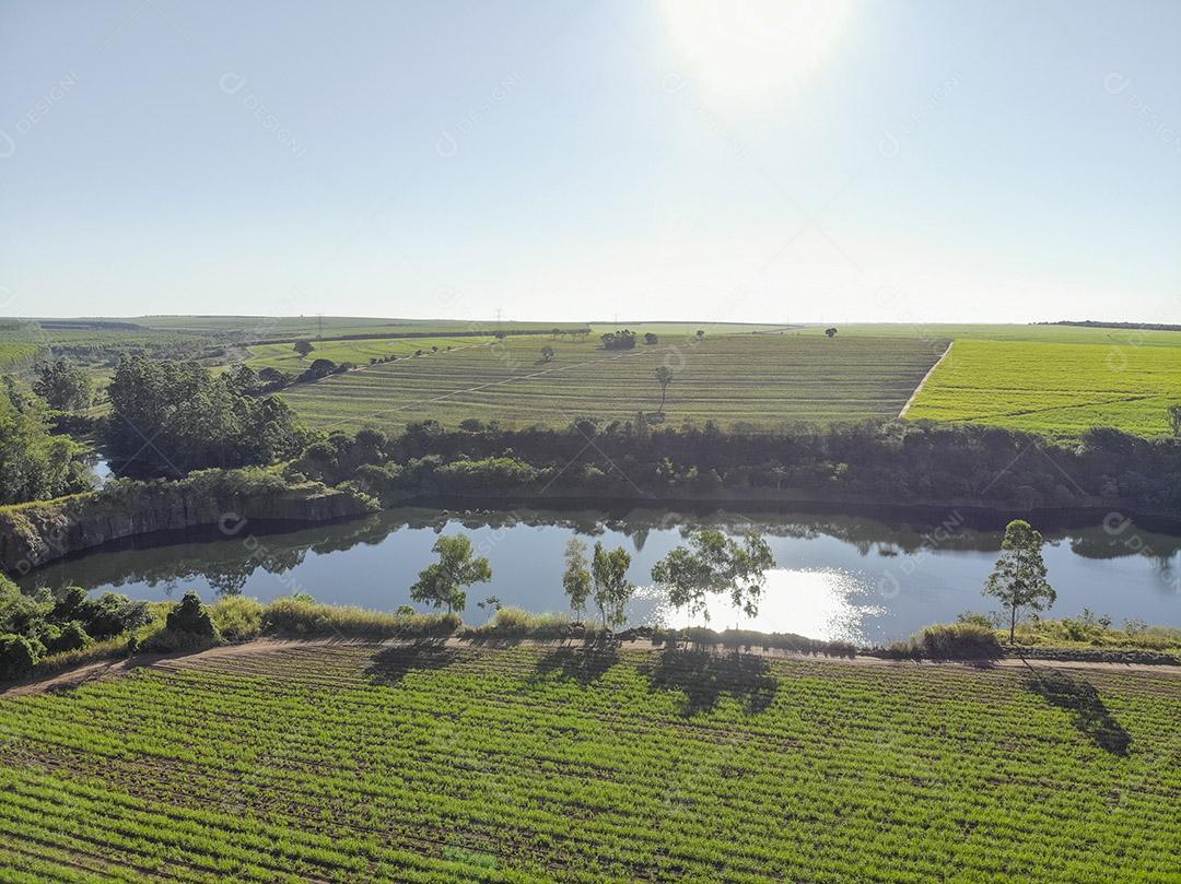 Campo aéreo de cana-de-açúcar no Brasil Imagem JPG