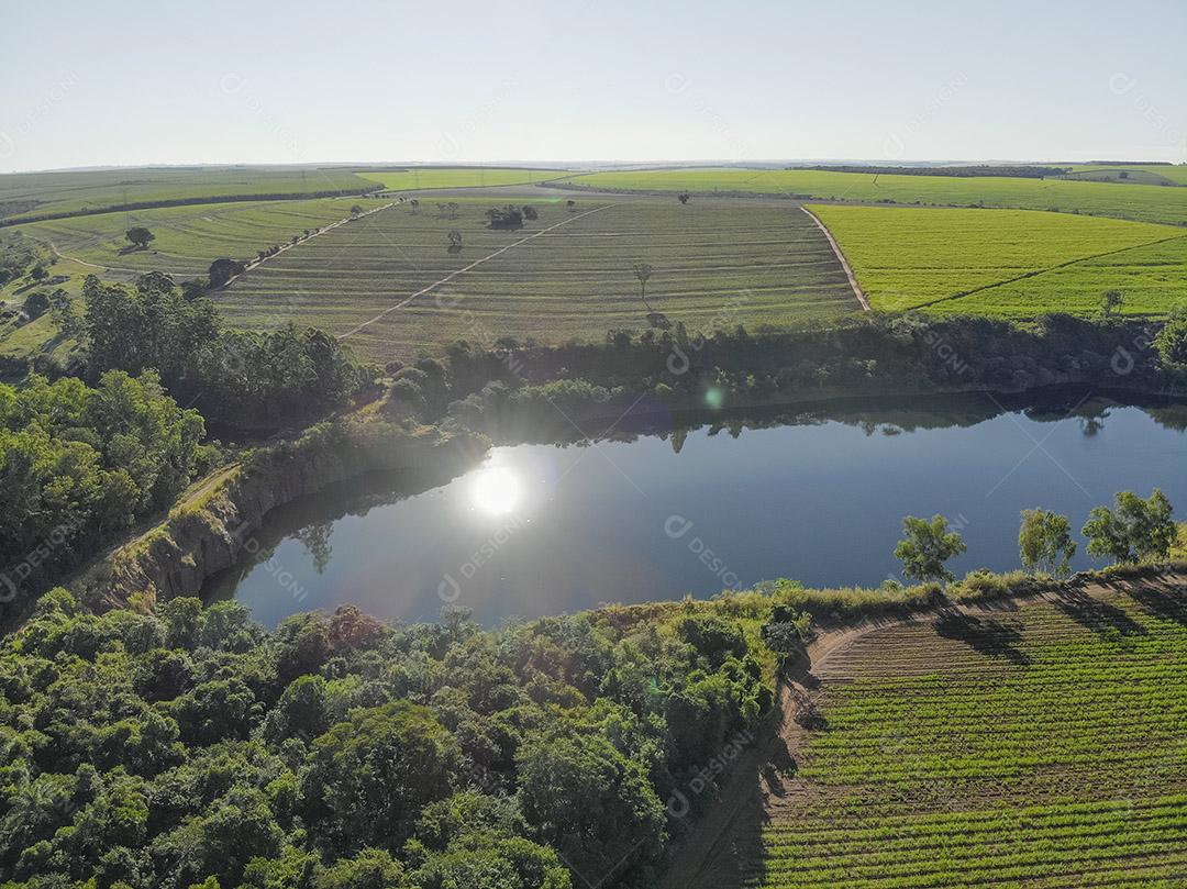 Campo aéreo de cana-de-açúcar no Brasil Imagem JPG