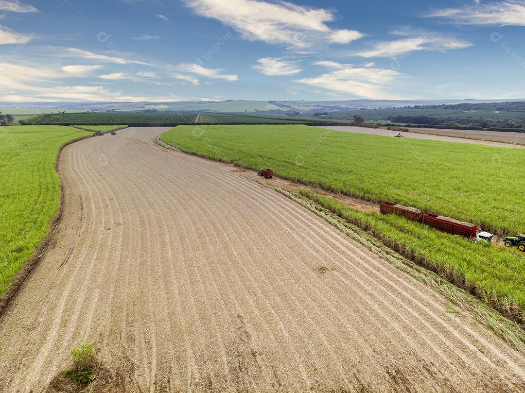 Campo aéreo de cana-de-açúcar no Brasil Imagem JPG