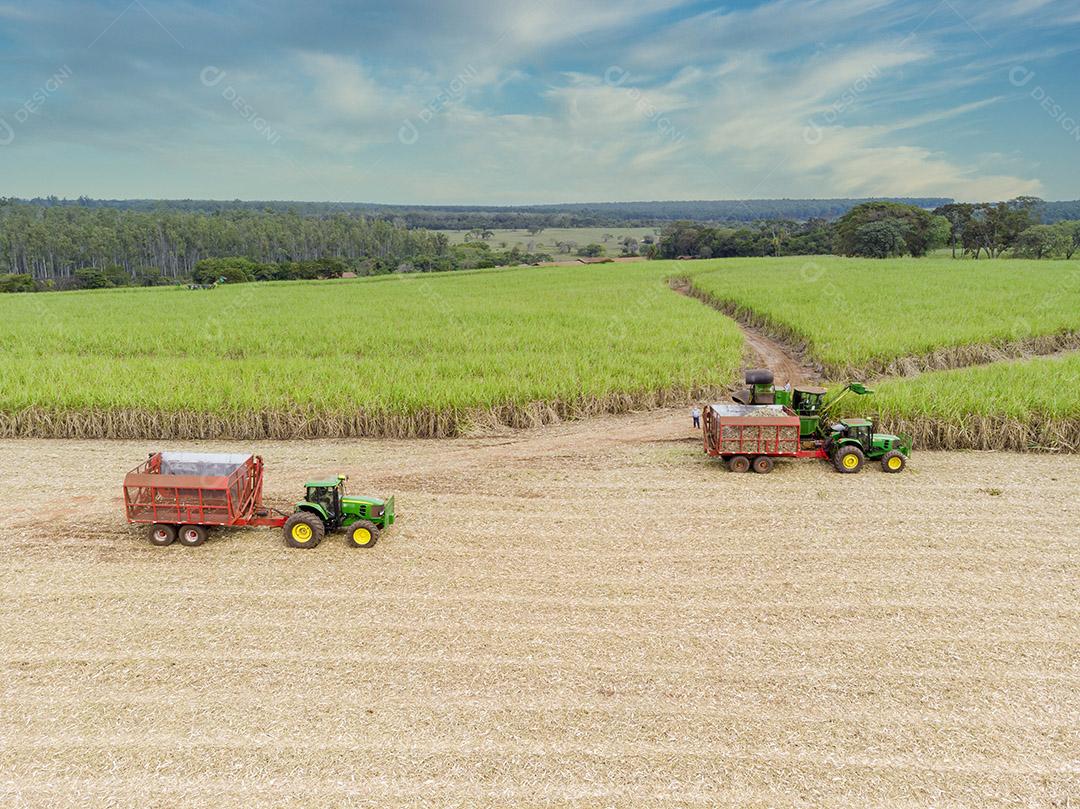Campo aéreo de cana-de-açúcar no Brasil Imagem JPG